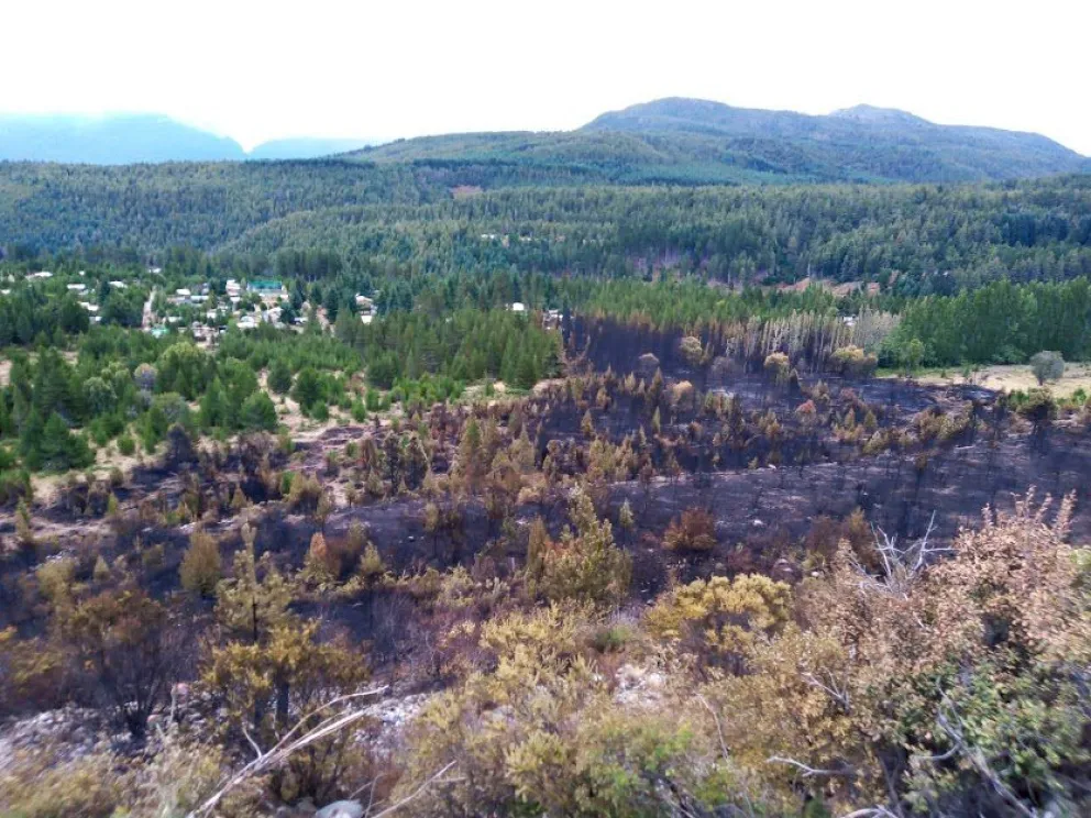 “Tuvimos miedo de perder nuestras casas y hasta la vida, a raíz del incendio”