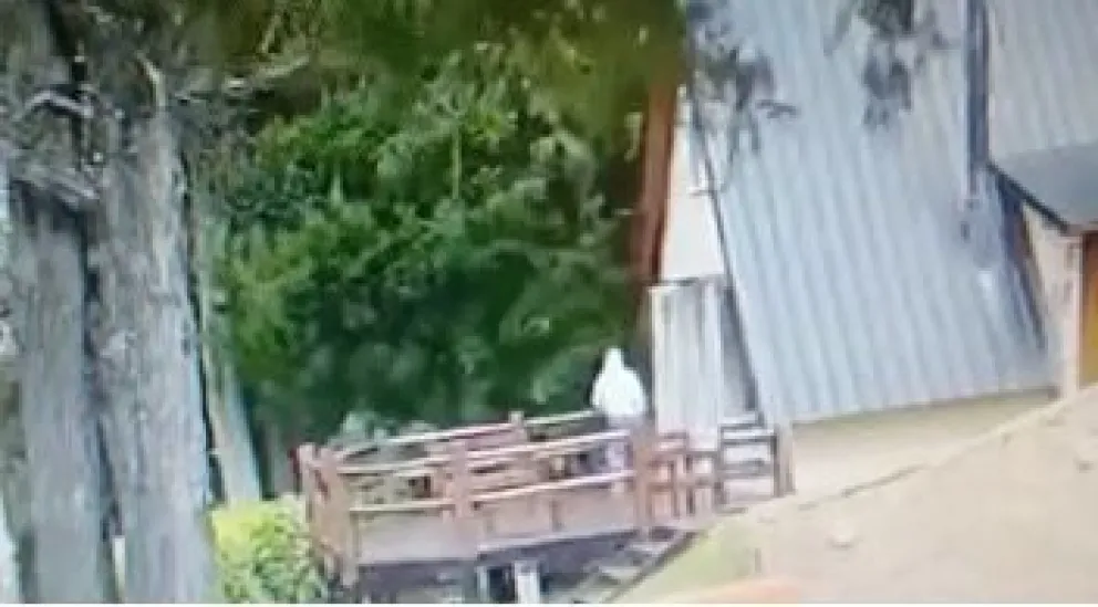 El robo a una cabaña quedó registrado por las cámaras de seguridad