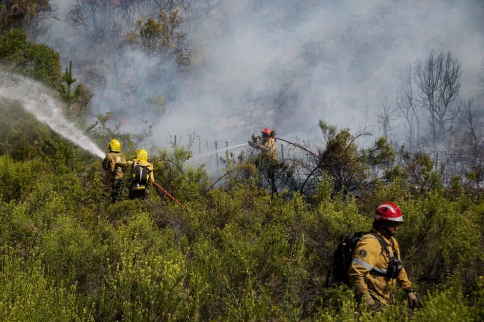 Incendio en El Bolsón: Destacan que en la mayoría de los sectores el fuego está contenido