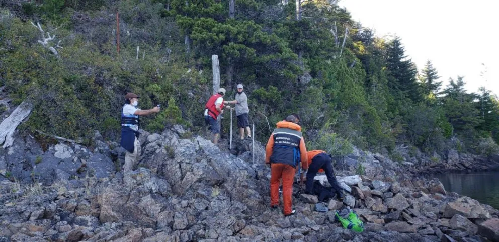 Comienzan a retirar alambrados de la costa del lago Moreno