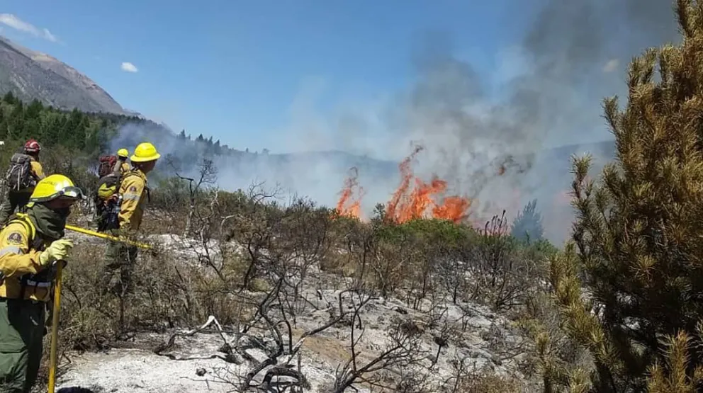 Incendios forestales: Un cambio de la dirección del viento desató nuevos focos secundarios