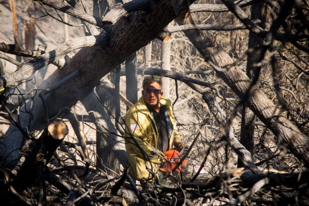 Foto: Marcelo Martínez.