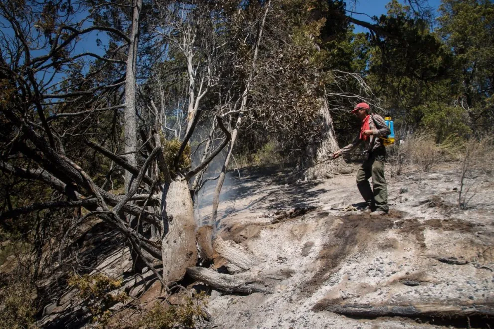 Decretan la emergencia agropecuaria por el incendio en El Bolsón