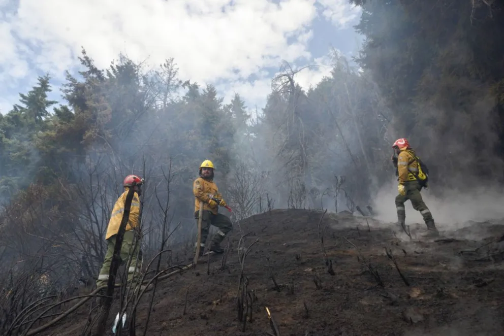 Fotos: Marcelo Martínez.