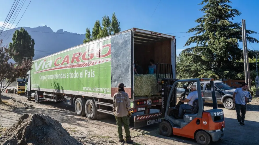 Emergencia agropecuaria: Vía Cargo donó 60 mil kilos de forraje para productores rurales