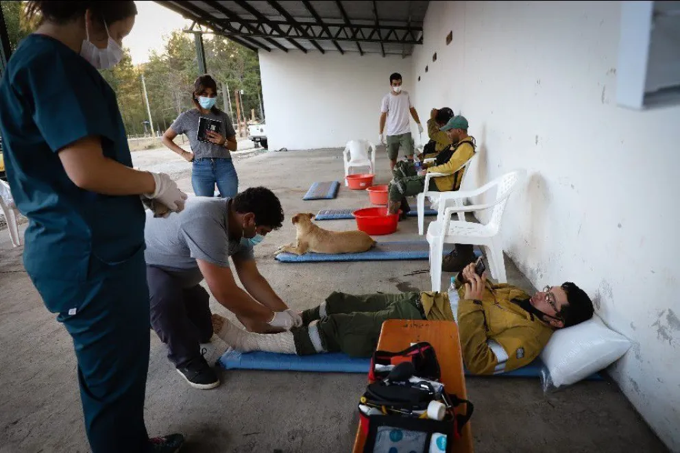 Asistencia kinesiológica para brindar alivio a los brigadistas