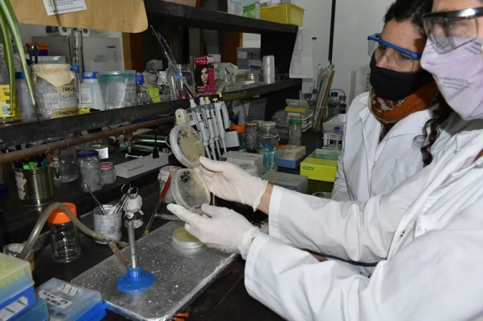 Foto: Gentileza INTA.