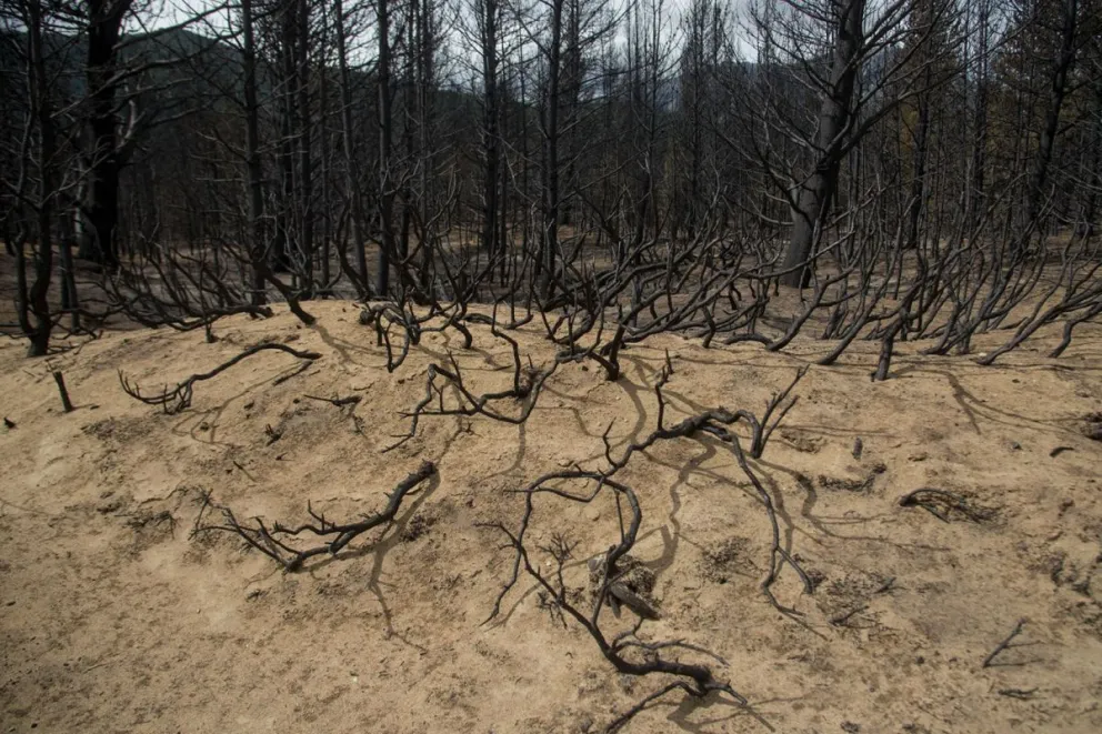 (Foto: Marcelo Martínez)