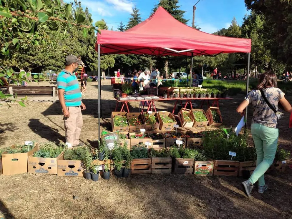 Este sábado, las ferias del oeste se trasladan a Pájaro Azul