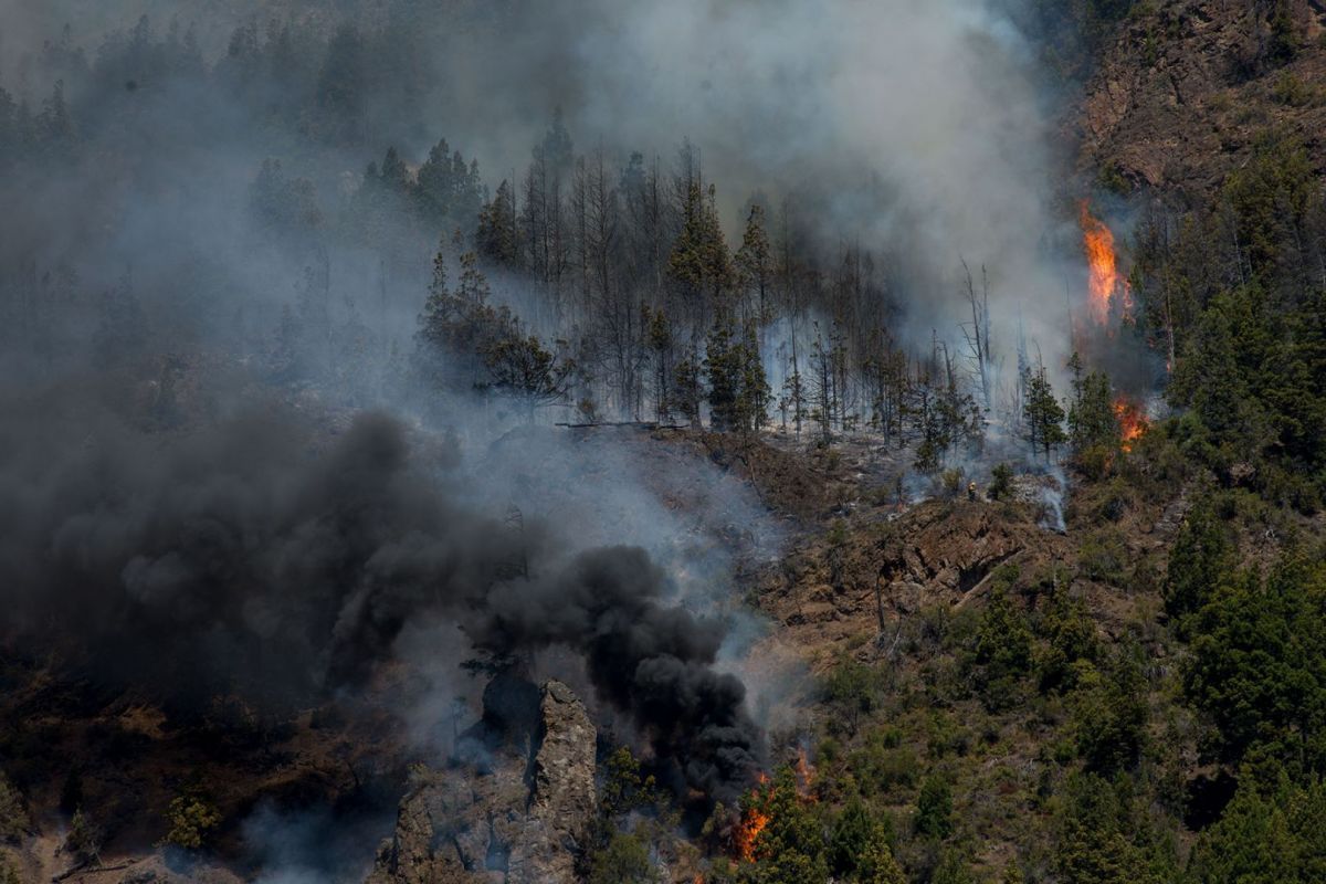 Tareas comunitarias para quienes iniciaron el incendio en Cuesta del Ternero en 2021