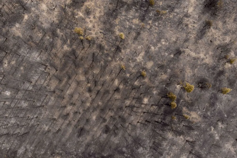 Foto: Marcelo Martínez.