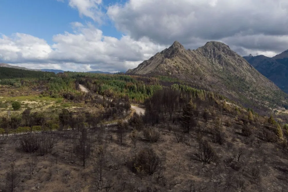 Incendios: La superficie total afectada es de 6.605 hectáreas. (Foto: Marcelo Martínez)