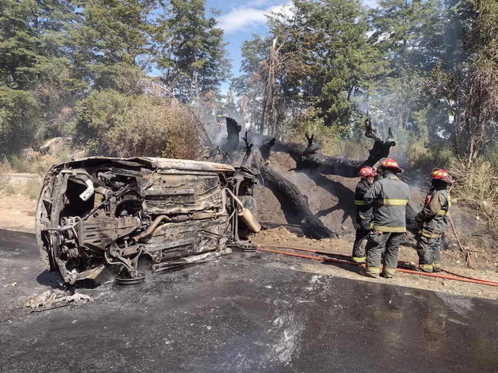 Fotos: Diario Andino.