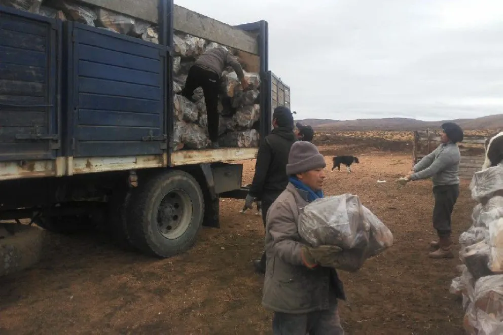 Todo listo para la puesta en marcha del Plan Calor en Río Negro