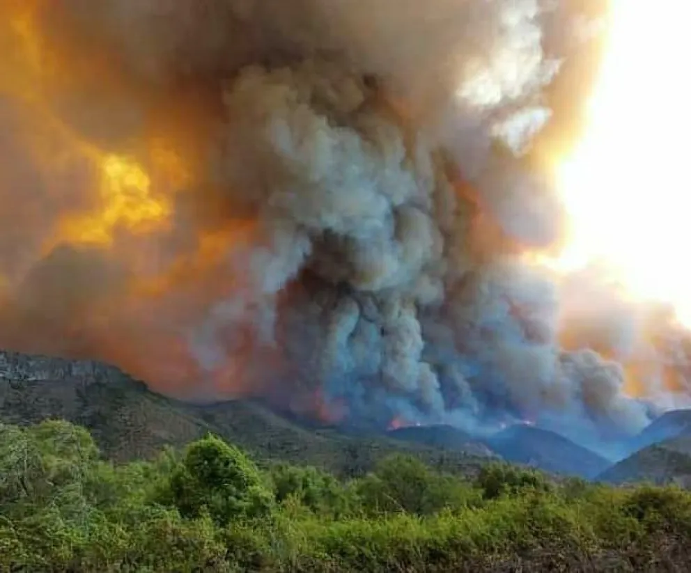 Foto: Splif Río Negro.