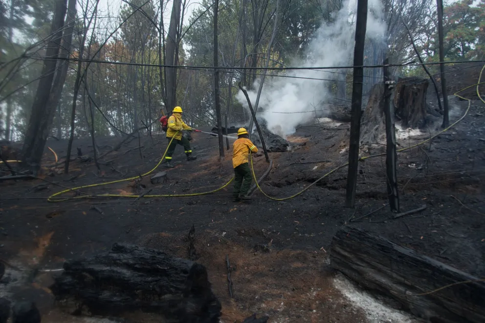 Foto: Marcelo Martínez.