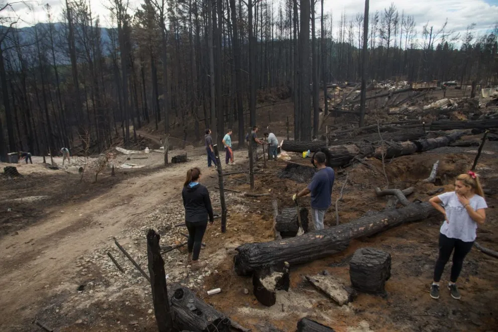 Inicia la restauración de áreas afectadas por los incendios forestales