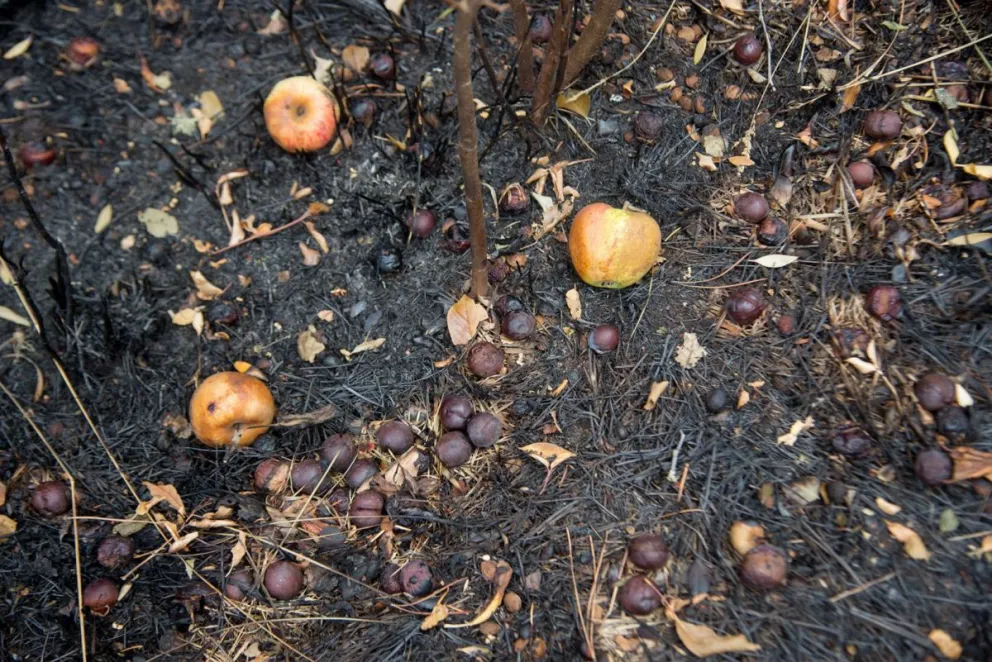 Foto: Marcelo Martínez.