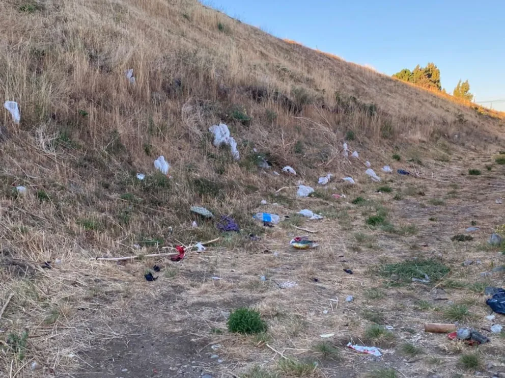 [Notifoto] Todos los días la misma postal: basura