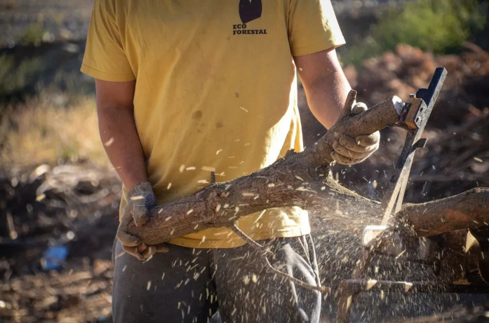 El programa que promueve el uso de residuos forestales para calefacción, cumple cuatro años