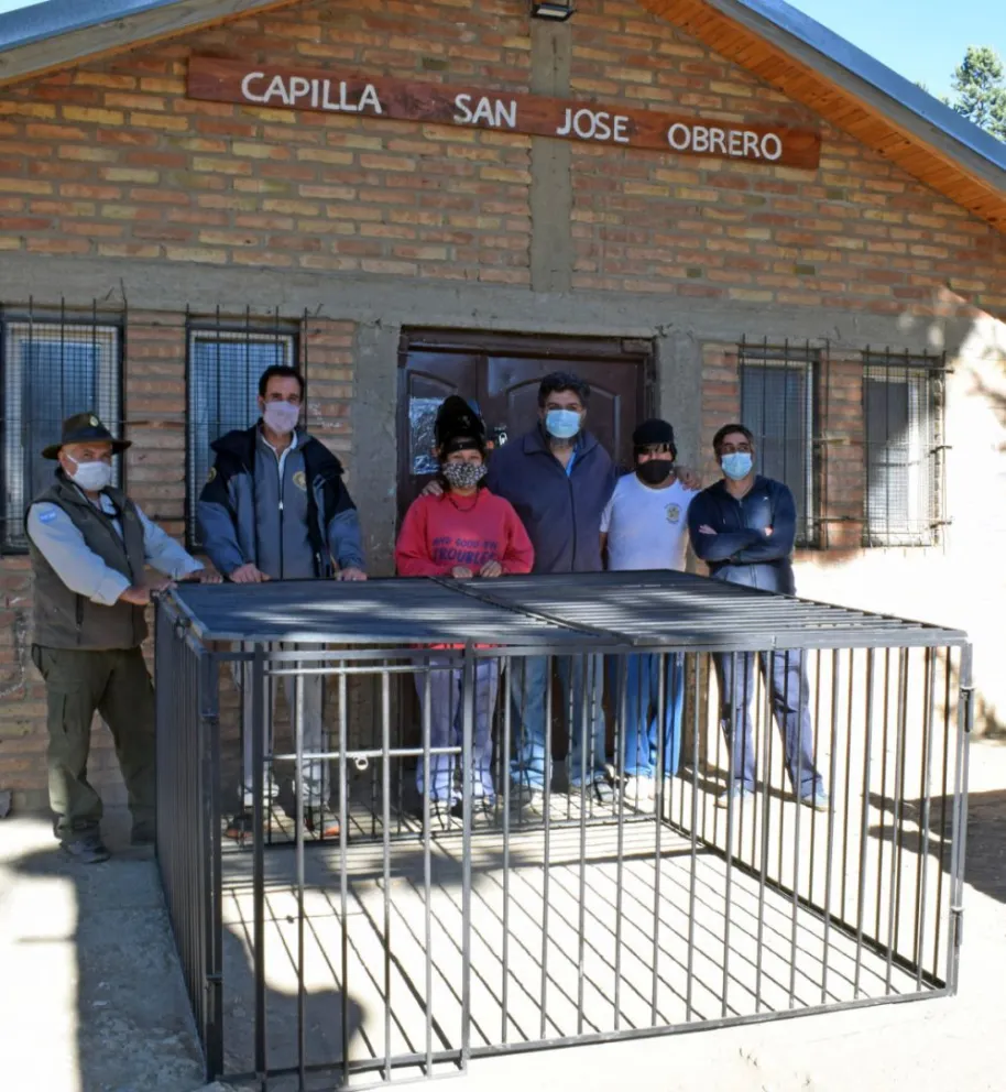 Con "corrales trampa" buscan controlar la invasión de jabalíes