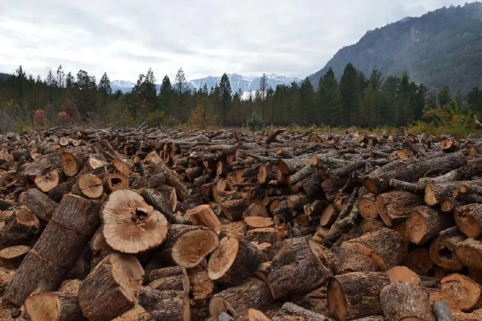Esta semana comienzan los planes Calor, Nutre y Emprender