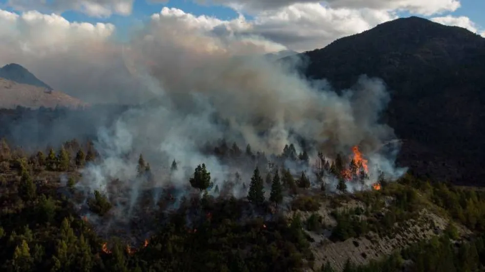 Fotos: Marcelo Martínez.