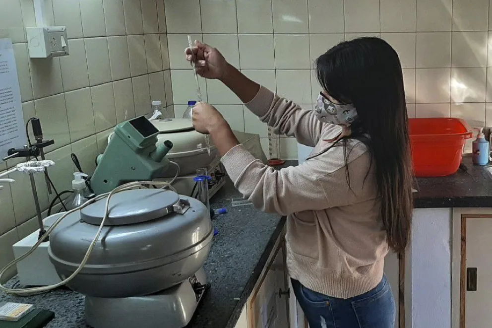 Triquinosis: Inauguraron un nuevo laboratorio en Bariloche para el diagnóstico de la enfermedad