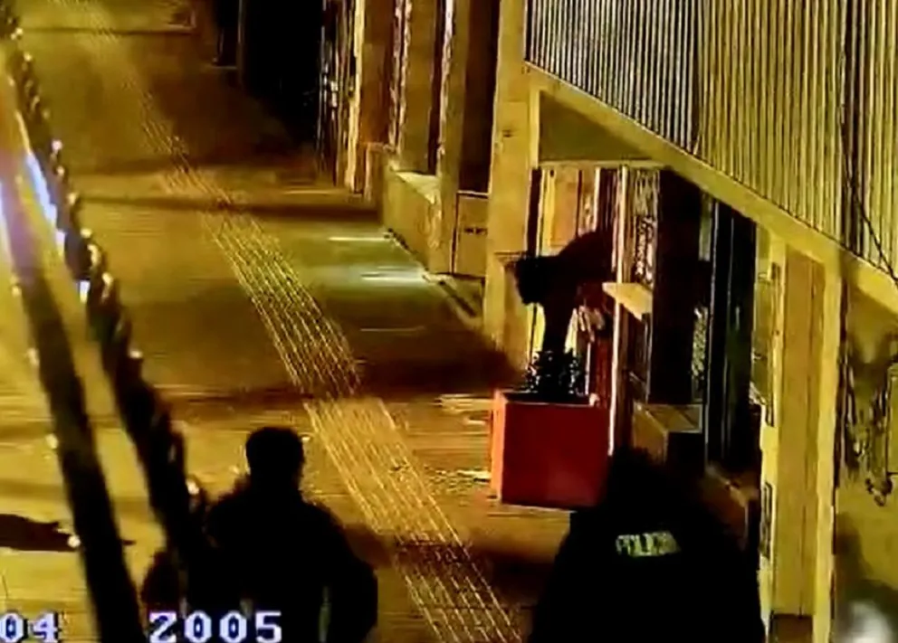 Video: Robos y detenciones en pleno centro