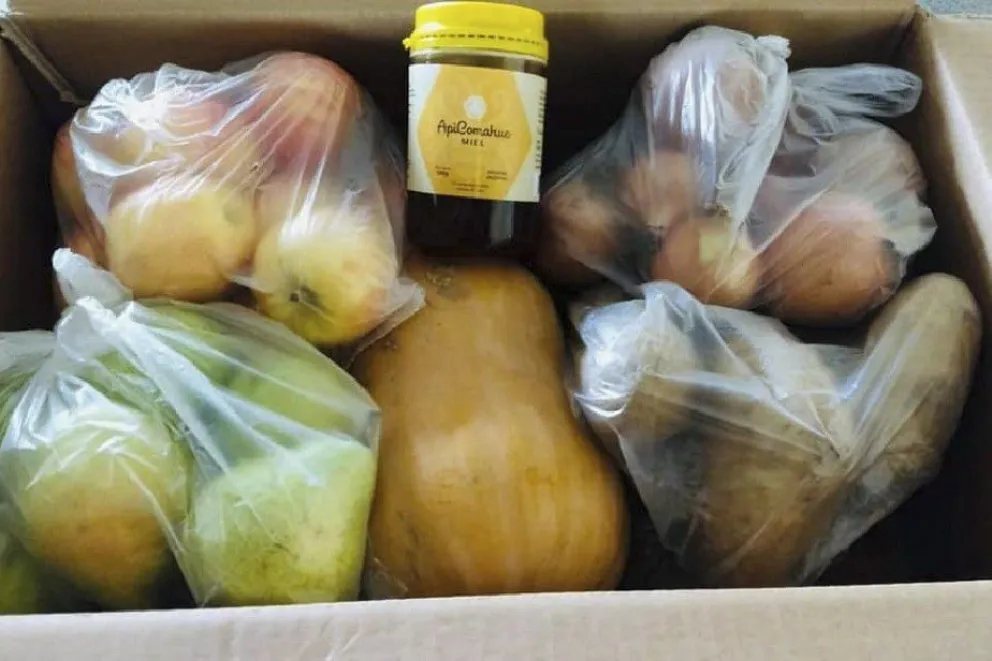 Arranca la campaña de provisión de frutas y verduras para estudiantes rionegrinos