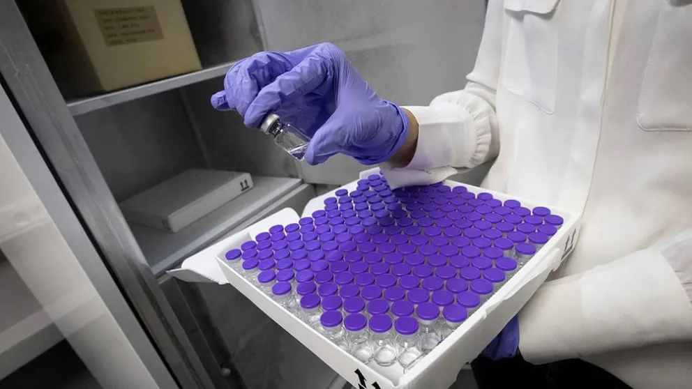 Coronavirus: ¿Qué características tiene la cepa Manaos que fue detectada en Bariloche?