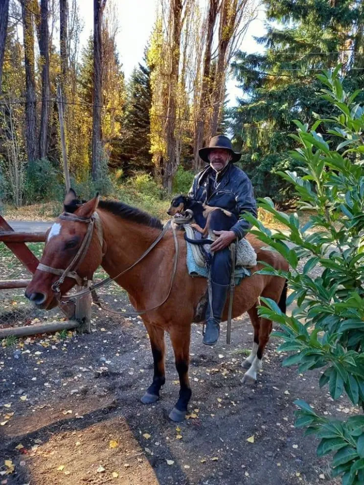 Recorrió cuatro horas a caballo para poder ir a castrar a su perra