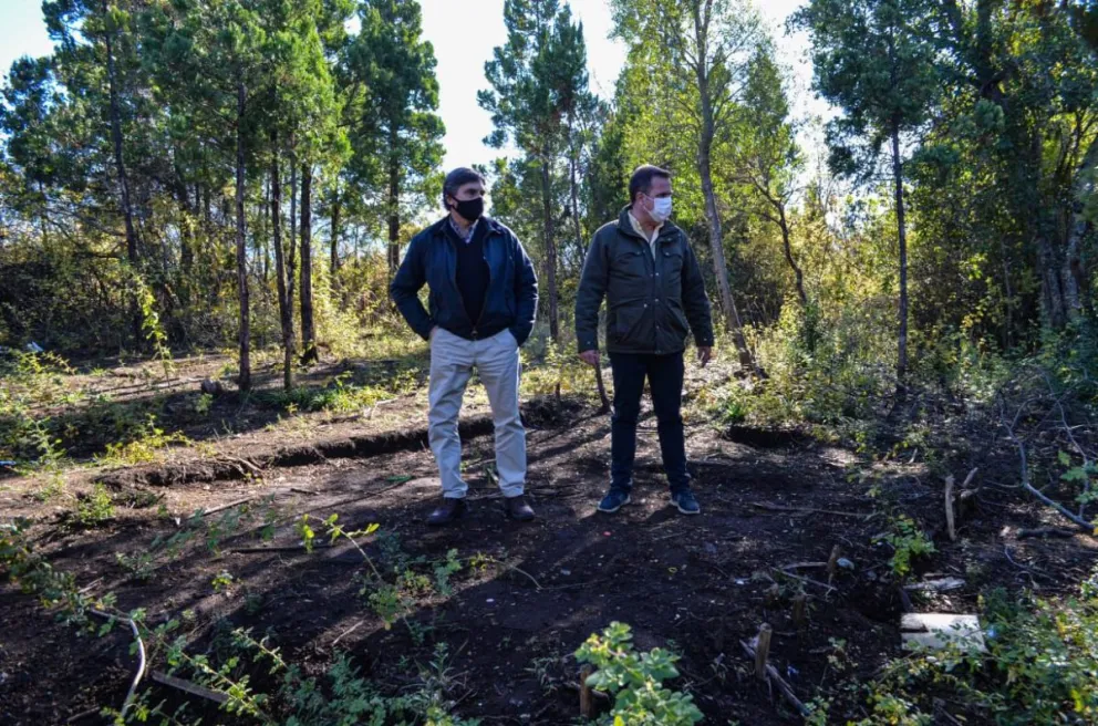 El sitio fue recuperado recientemente. 