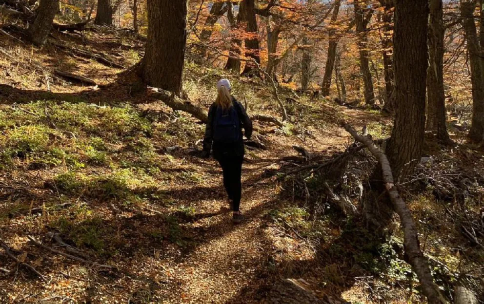 ¿A dónde vamos este domingo?