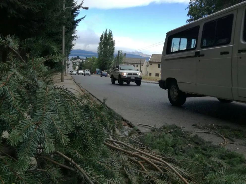 En los barrios altos de la ciudad cayeron ramas debido a las fuertes ráfagas.  