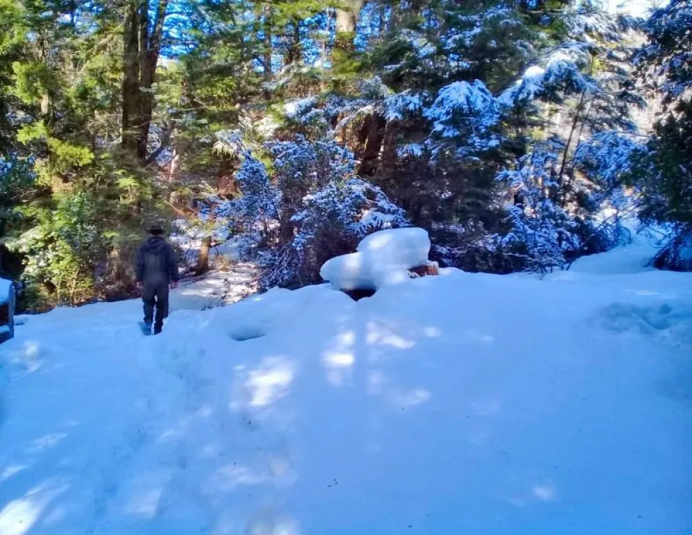 Por alerta meteorológica, se cierran todos los senderos del Parque Nahuel Huapi