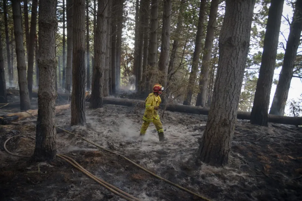 Preocupación de cara a la temporada de verano por los incendios forestales