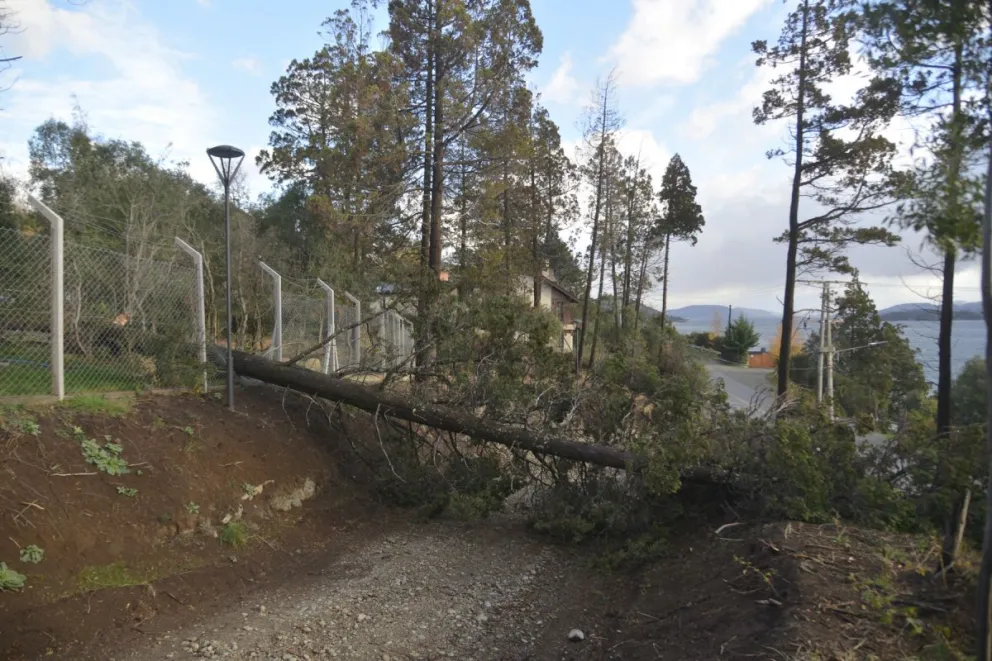 Las intensas lluvias y ráfagas de viento generaron problemas en la ciudad
