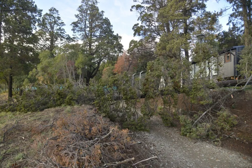 Alerta amarilla en la región por viento, lluvia y posibles nevadas