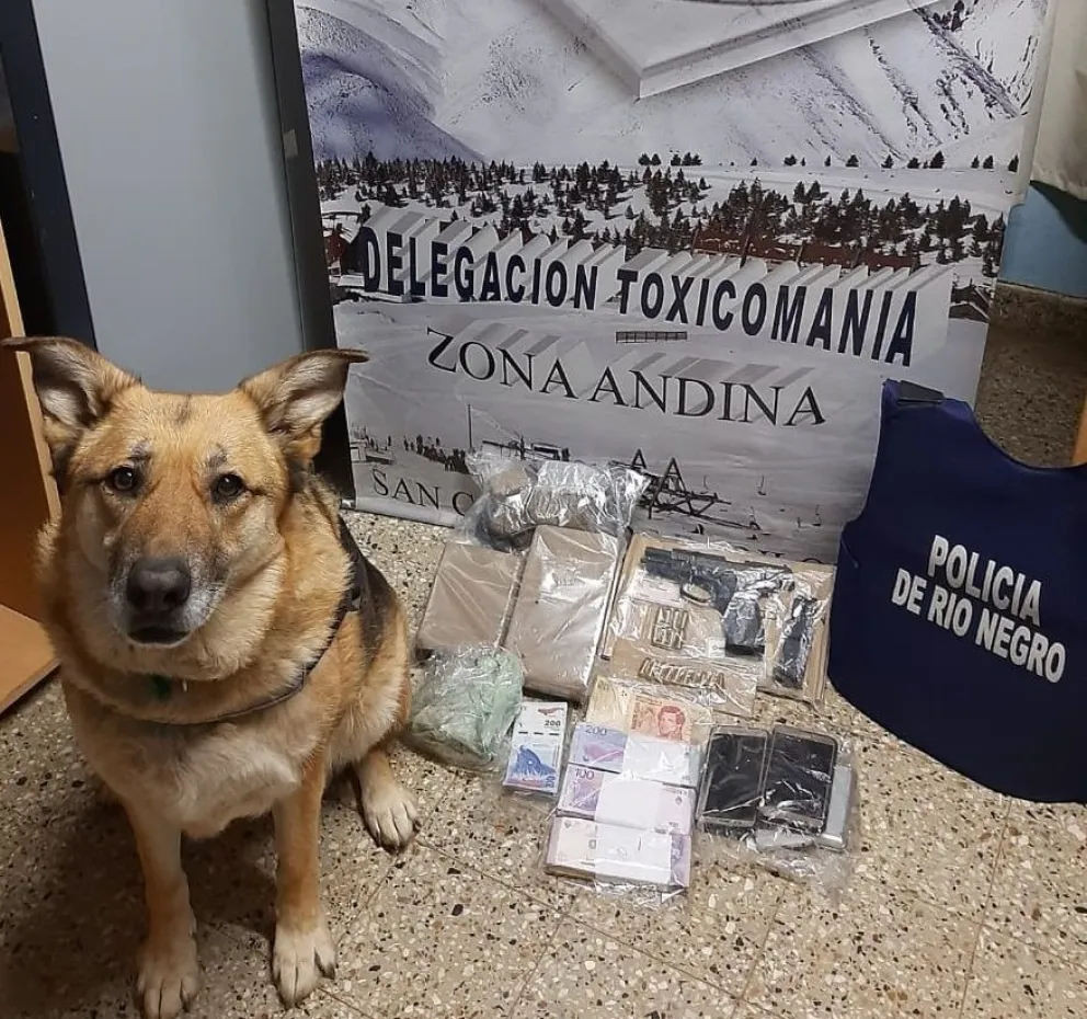 Secuestraron cocaína, marihuana y un arma de fuego en un control vehicular