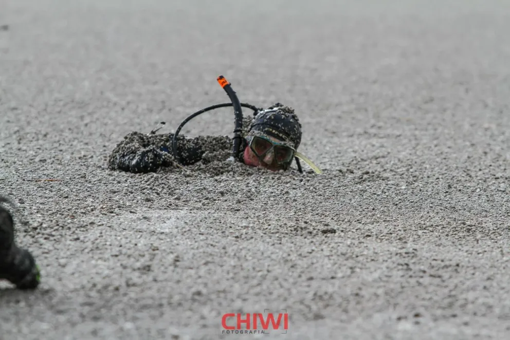 “Cenizas”, el video que resume y recuerda lo que fue la erupción del Puyehue  