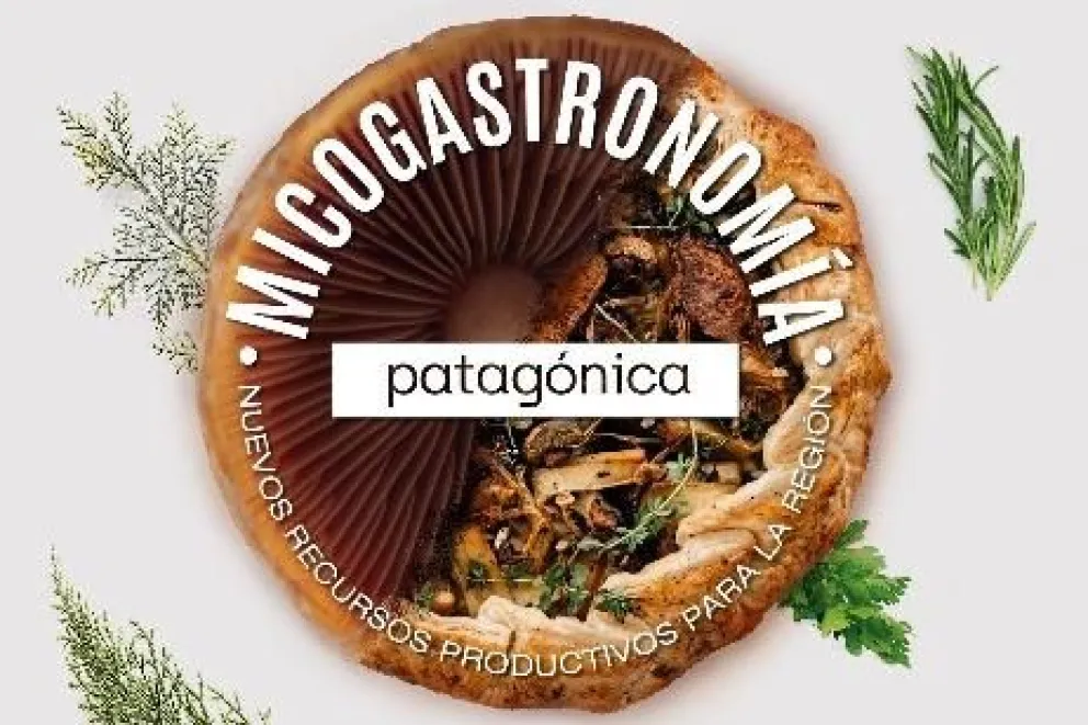 "Micogastronomía Patagónica", un libro sobre gastronomía, ciencia y cultura