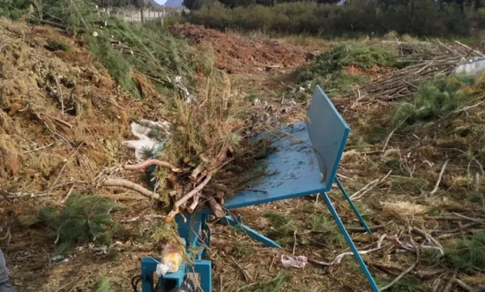 Exitosa prueba piloto para el tratamiento de residuos forestales en el Oeste