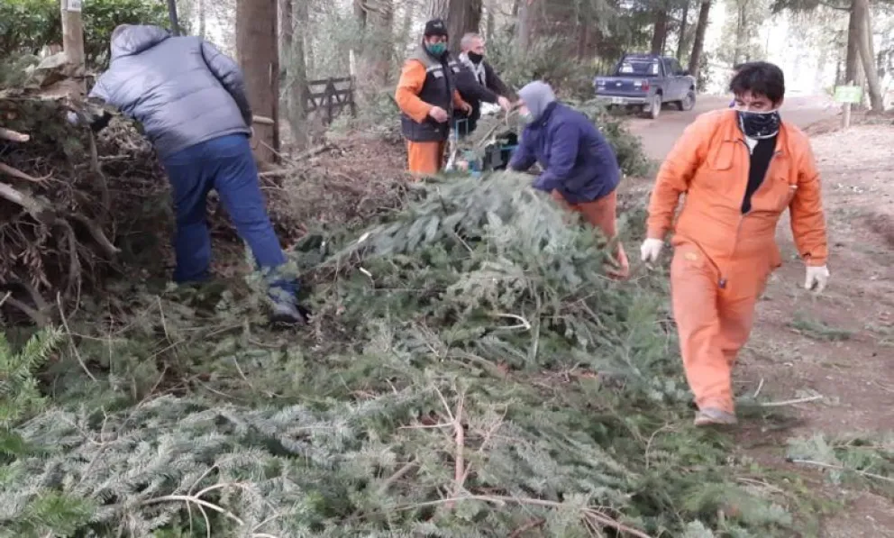 Segundo encuentro por manejo de material forestal en el oeste