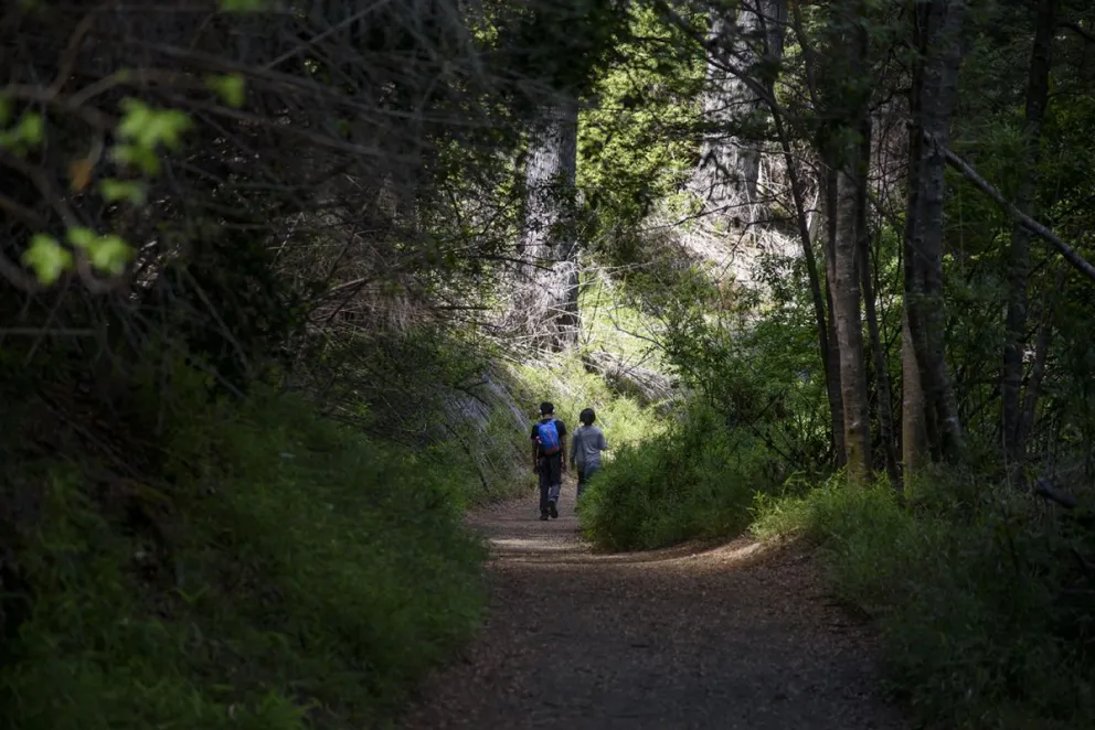 Cierran senderos por fuertes vientos 