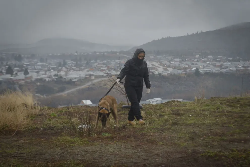 Realizan rastrillajes en la búsqueda de Andrea Valeria Lagos